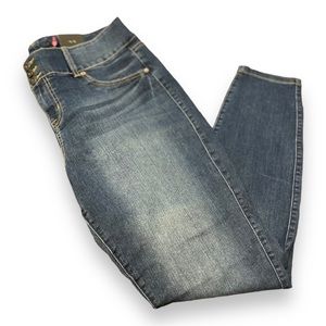 Torrid Denim Skinny Jeans